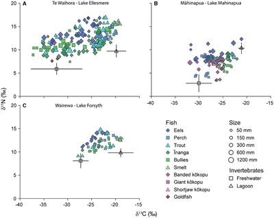 Disentangling the simultaneous effects of habitat degradation and introduced species on naturally depauperate riverine fish communities